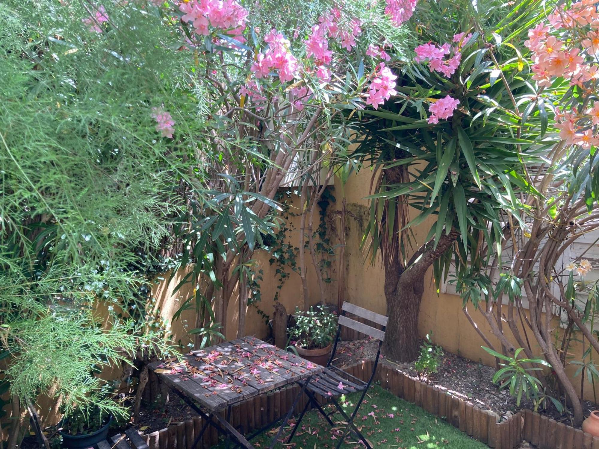 T2 Traversant Avec Une Grande Terrasse Et Piscine กาญเนอ-ซูร์-แมร์ ภายนอก รูปภาพ